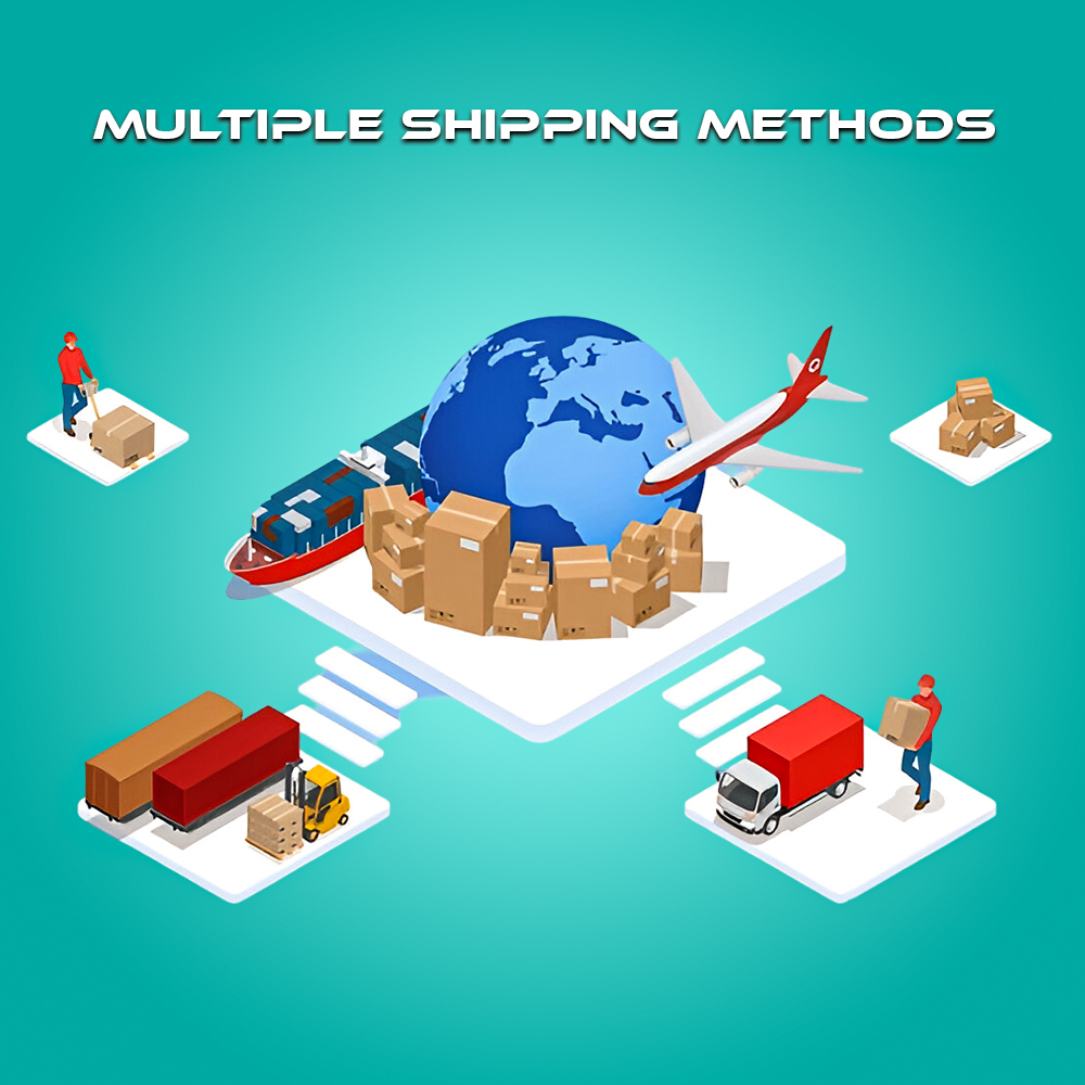 How Multiple Shipping Methods typically works within the VendorElite platform